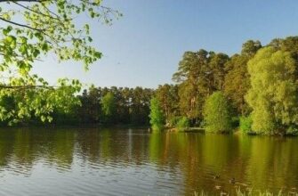 Зона отдыха «Тропарево»: зеленый уголок с водоемом и развлечениями в Москве