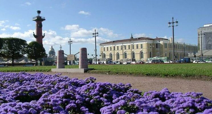 Зоологический музей Российской академии наук