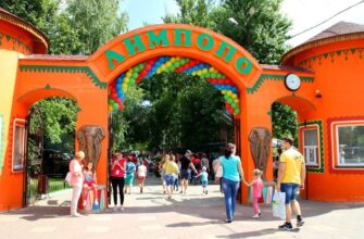 Зоопарк «Лимпопо» в Нижнем Новгороде: увлекательное путешествие в мир животных